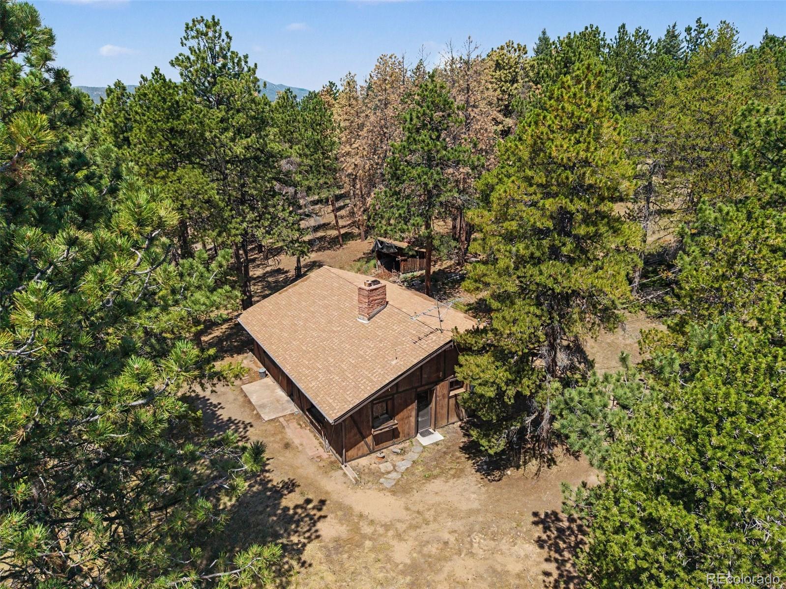 MLS Image #4 for 23300  pleasant park road,conifer, Colorado