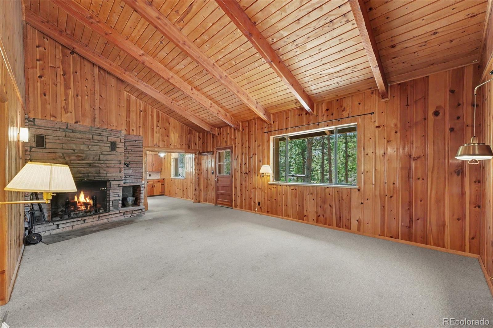 MLS Image #8 for 23300  pleasant park road,conifer, Colorado