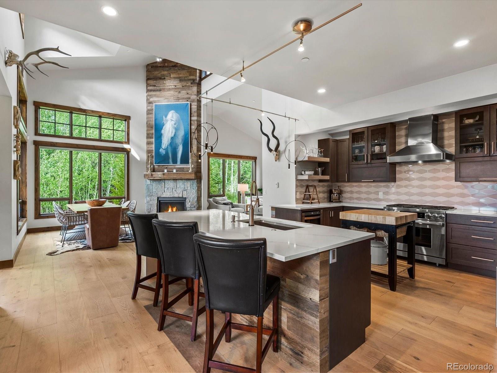 MLS Image #11 for 230  game trail road,silverthorne, Colorado