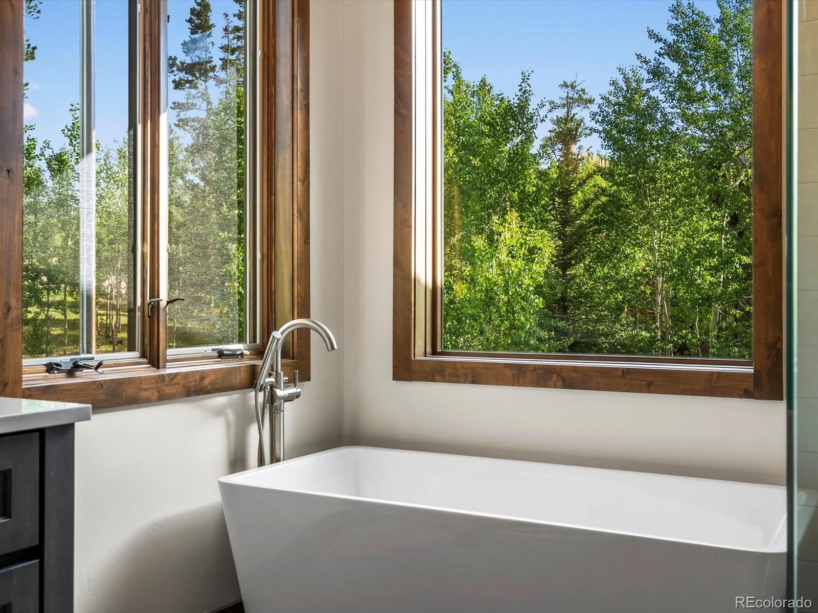 MLS Image #26 for 230  game trail road,silverthorne, Colorado