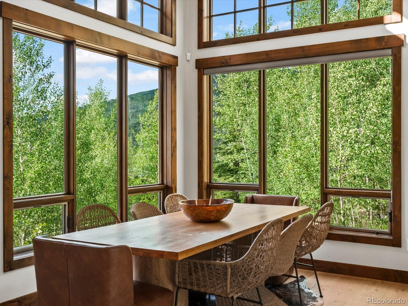 MLS Image #7 for 230  game trail road,silverthorne, Colorado