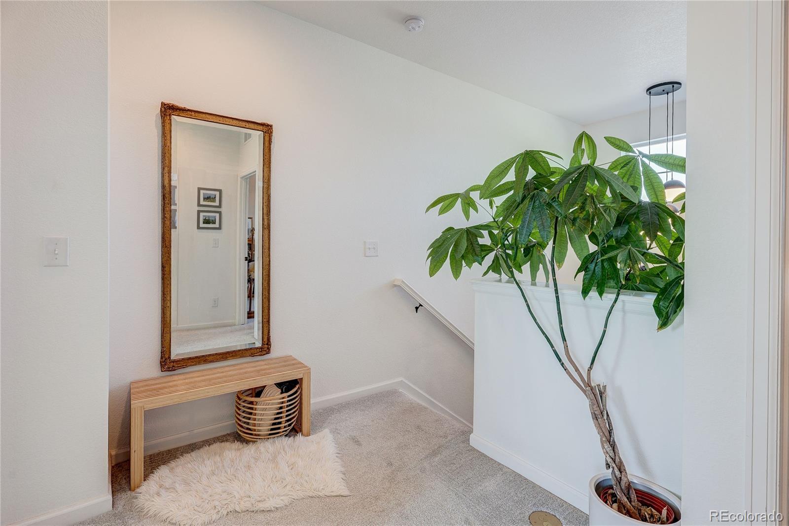MLS Image #21 for 8924  red bud street,parker, Colorado