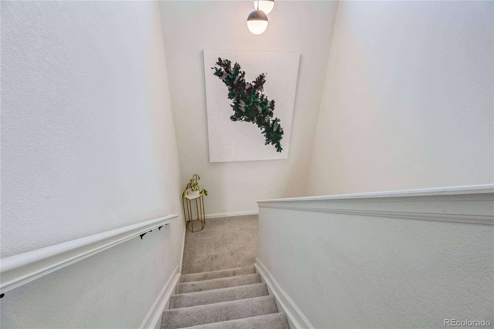 MLS Image #31 for 8924  red bud street,parker, Colorado