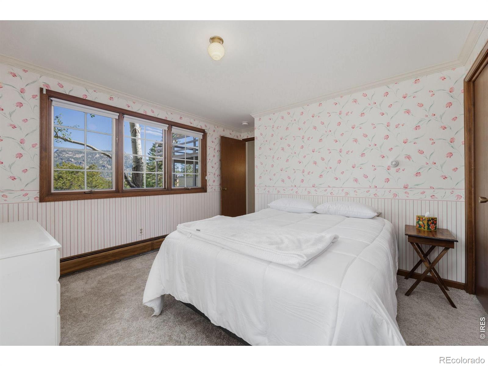 MLS Image #25 for 350  whispering pines drive,estes park, Colorado