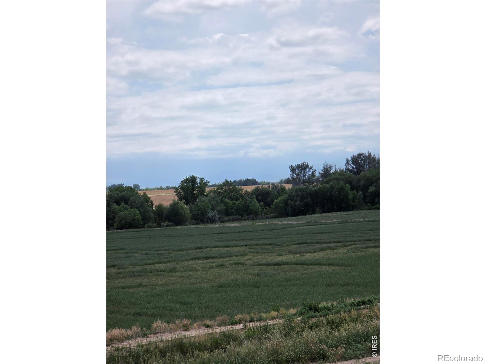 MLS Image #4 for 20219  county road 3 ,berthoud, Colorado