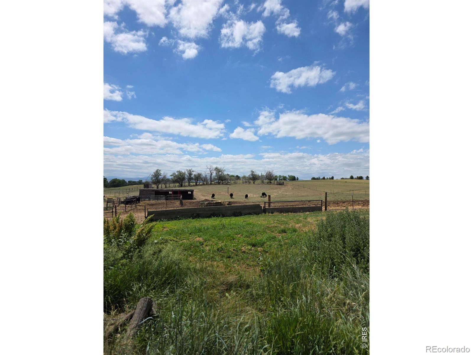 MLS Image #5 for 20219  county road 3 ,berthoud, Colorado