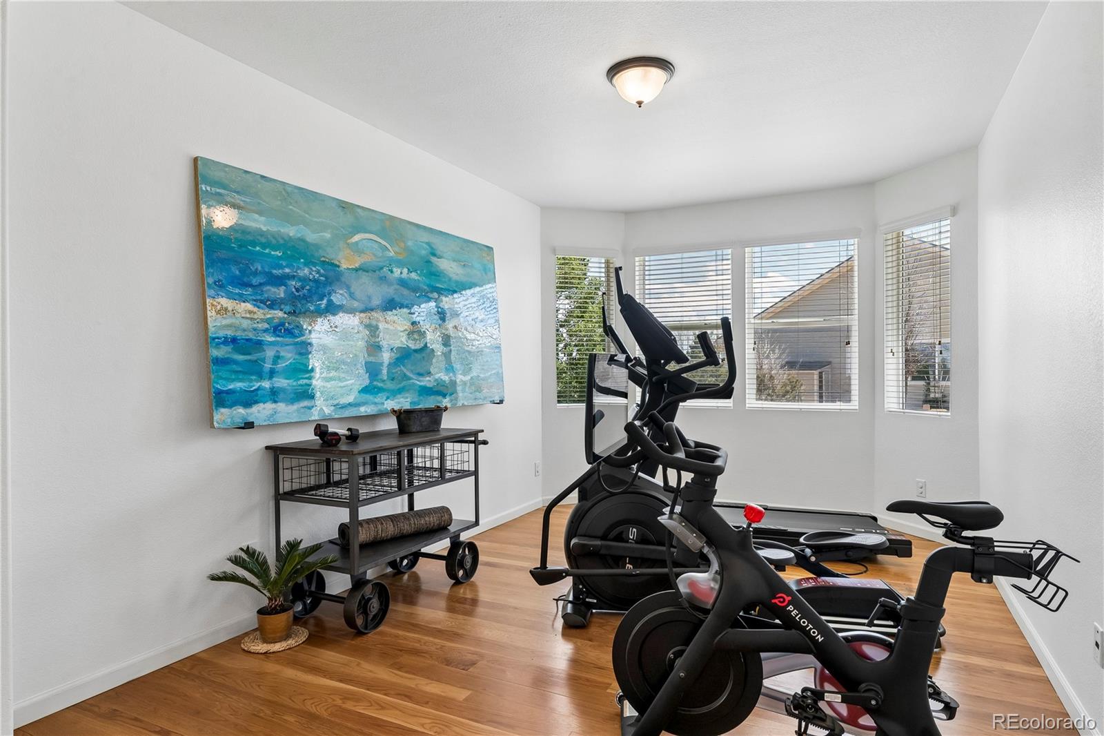 MLS Image #10 for 784  ellsworth court,castle rock, Colorado