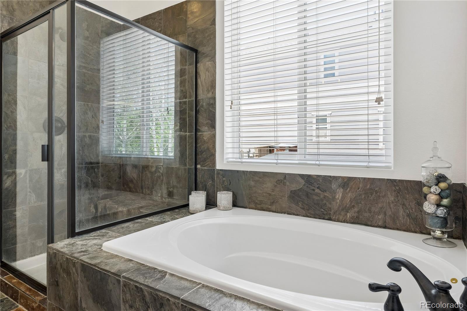 MLS Image #14 for 784  ellsworth court,castle rock, Colorado