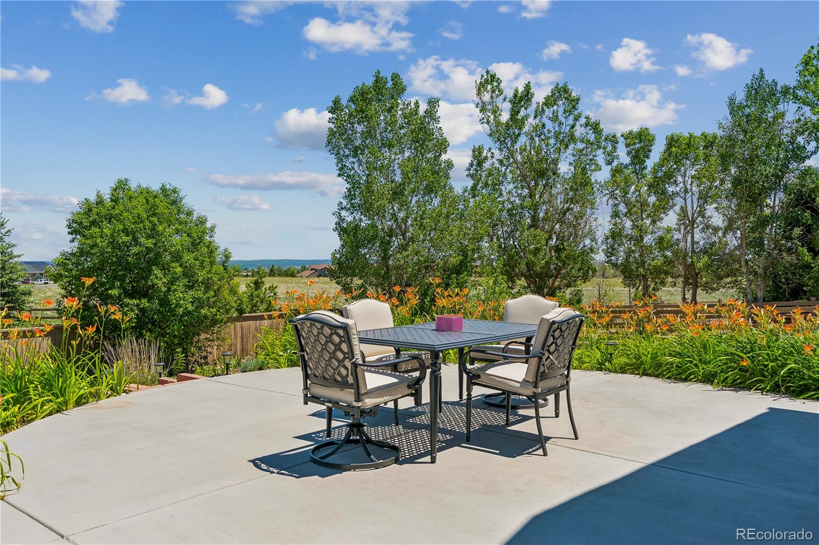 MLS Image #29 for 784  ellsworth court,castle rock, Colorado