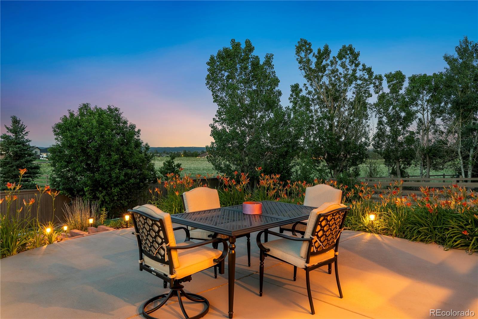 MLS Image #4 for 784  ellsworth court,castle rock, Colorado