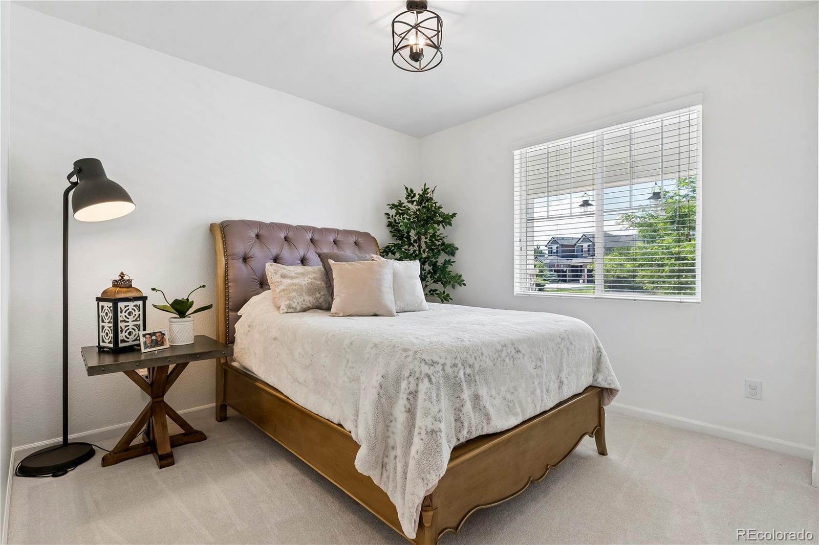 MLS Image #7 for 784  ellsworth court,castle rock, Colorado