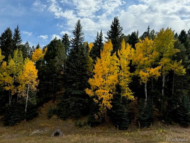 MLS Image #48 for 12090  tecumseh trail,conifer, Colorado