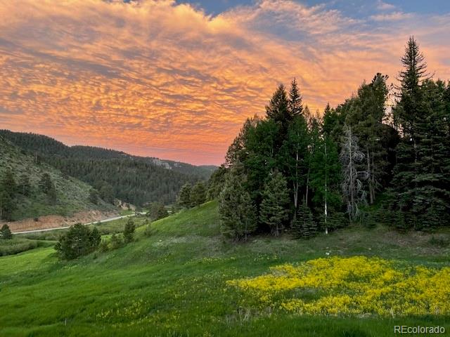 MLS Image #49 for 12090  tecumseh trail,conifer, Colorado
