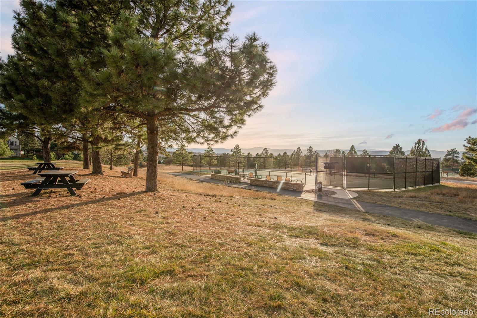 MLS Image #49 for 504  providence drive,castle rock, Colorado