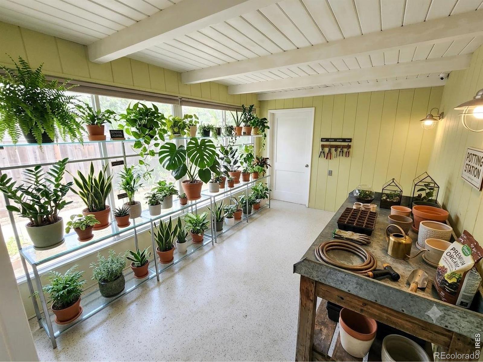 MLS Image #4 for 109  princeton road,fort collins, Colorado