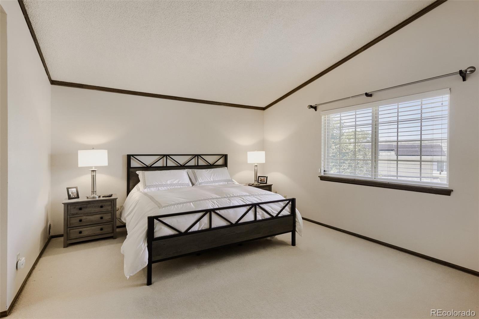 MLS Image #13 for 543  old stone drive,littleton, Colorado