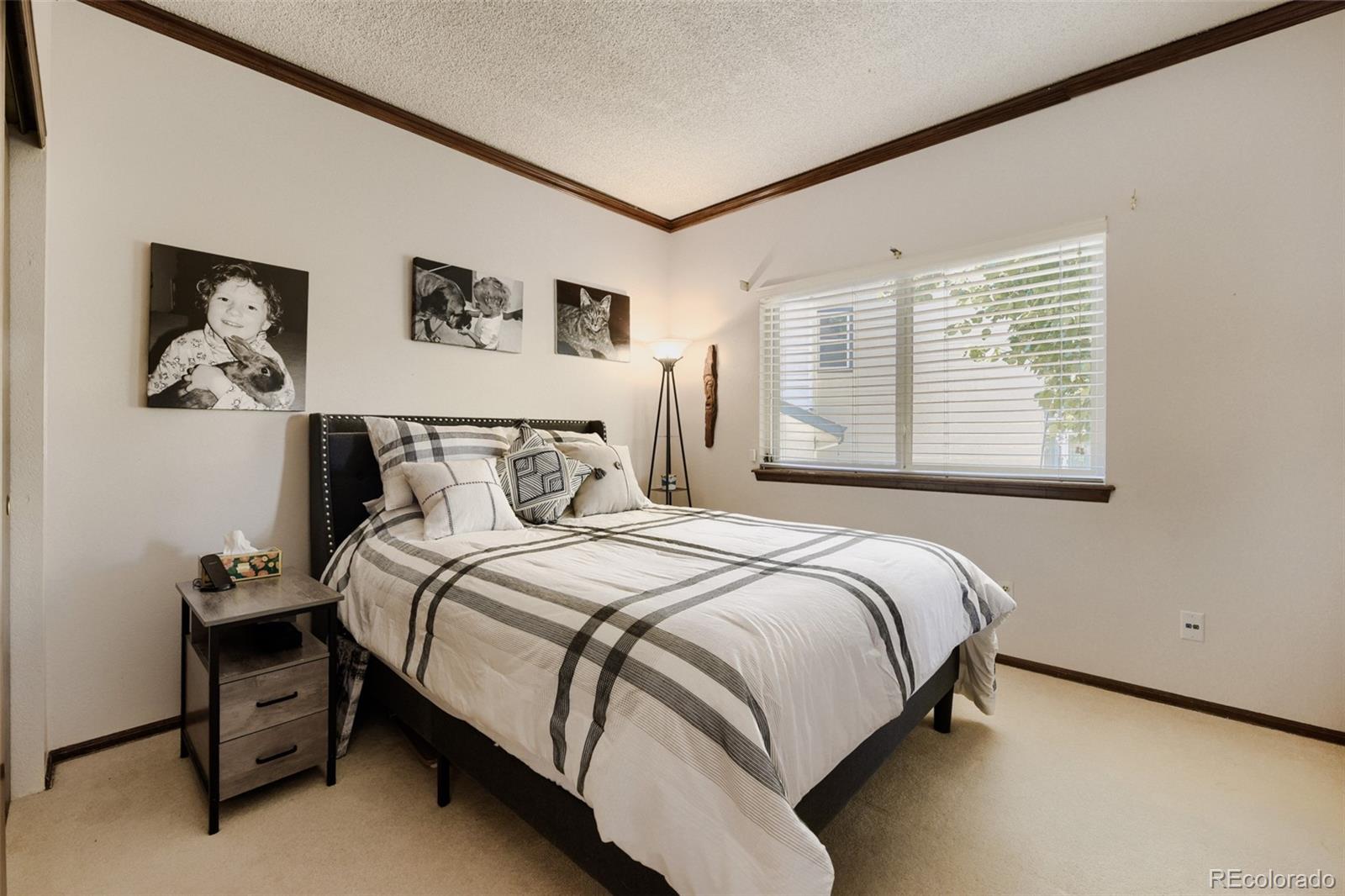 MLS Image #18 for 543  old stone drive,littleton, Colorado