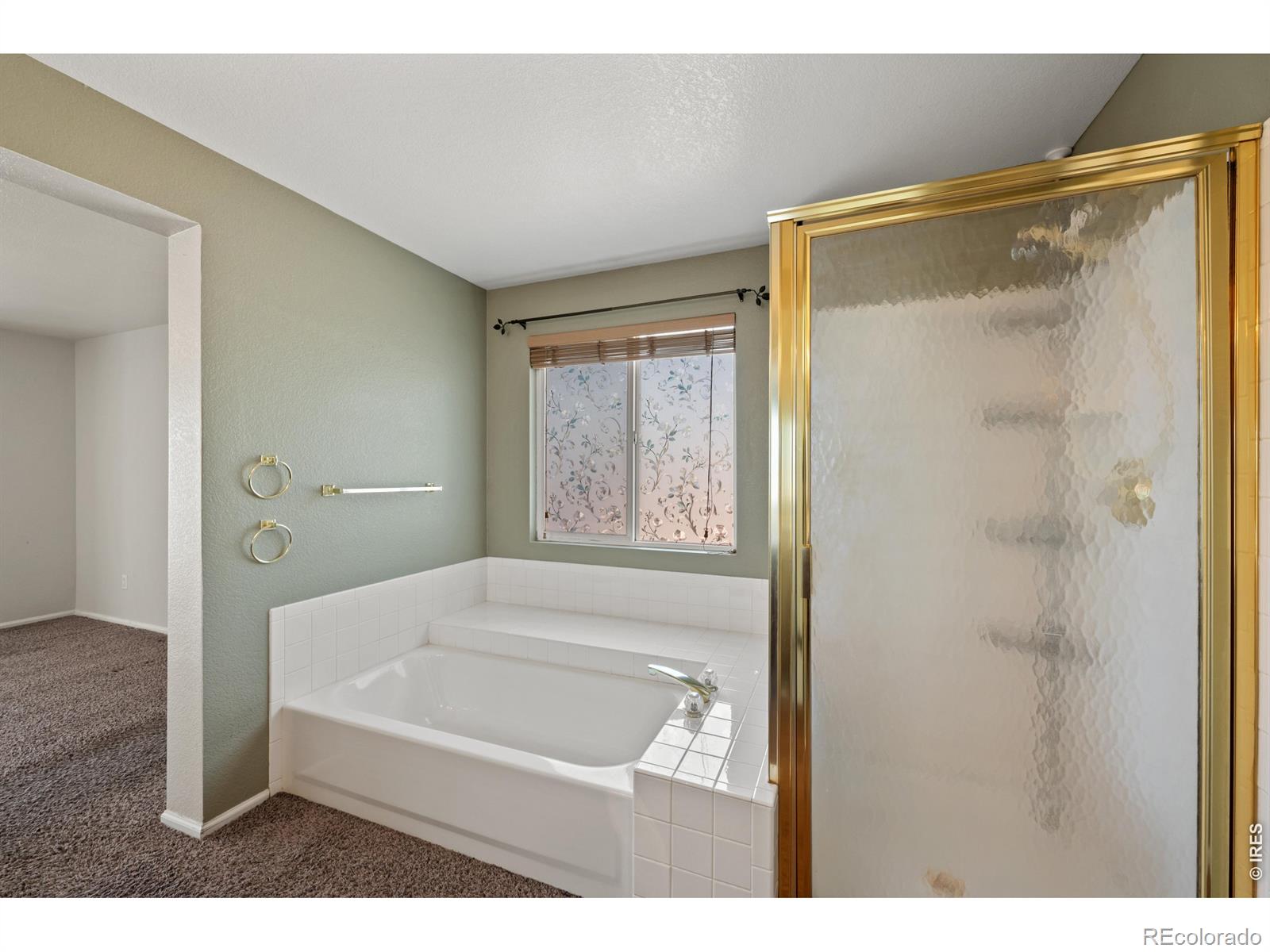 MLS Image #21 for 82  autumn court,erie, Colorado