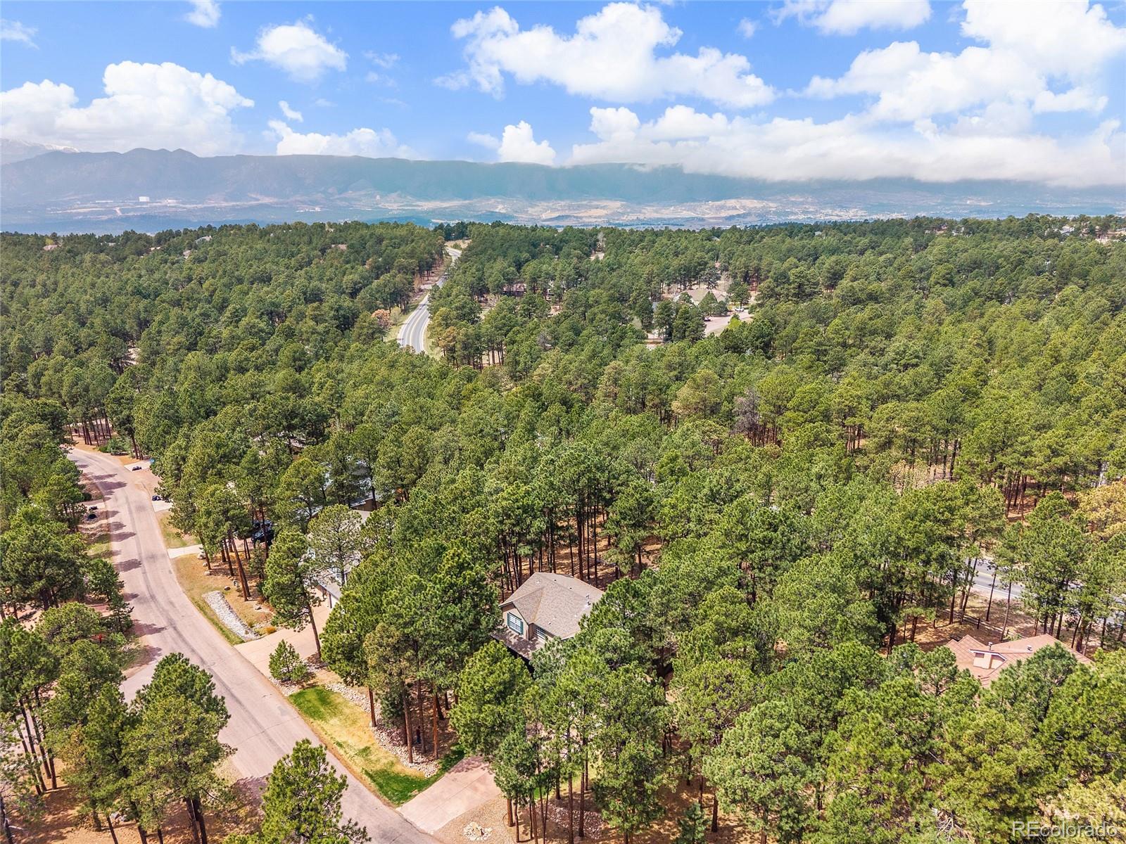 MLS Image #46 for 15973  longmeadow lane,colorado springs, Colorado