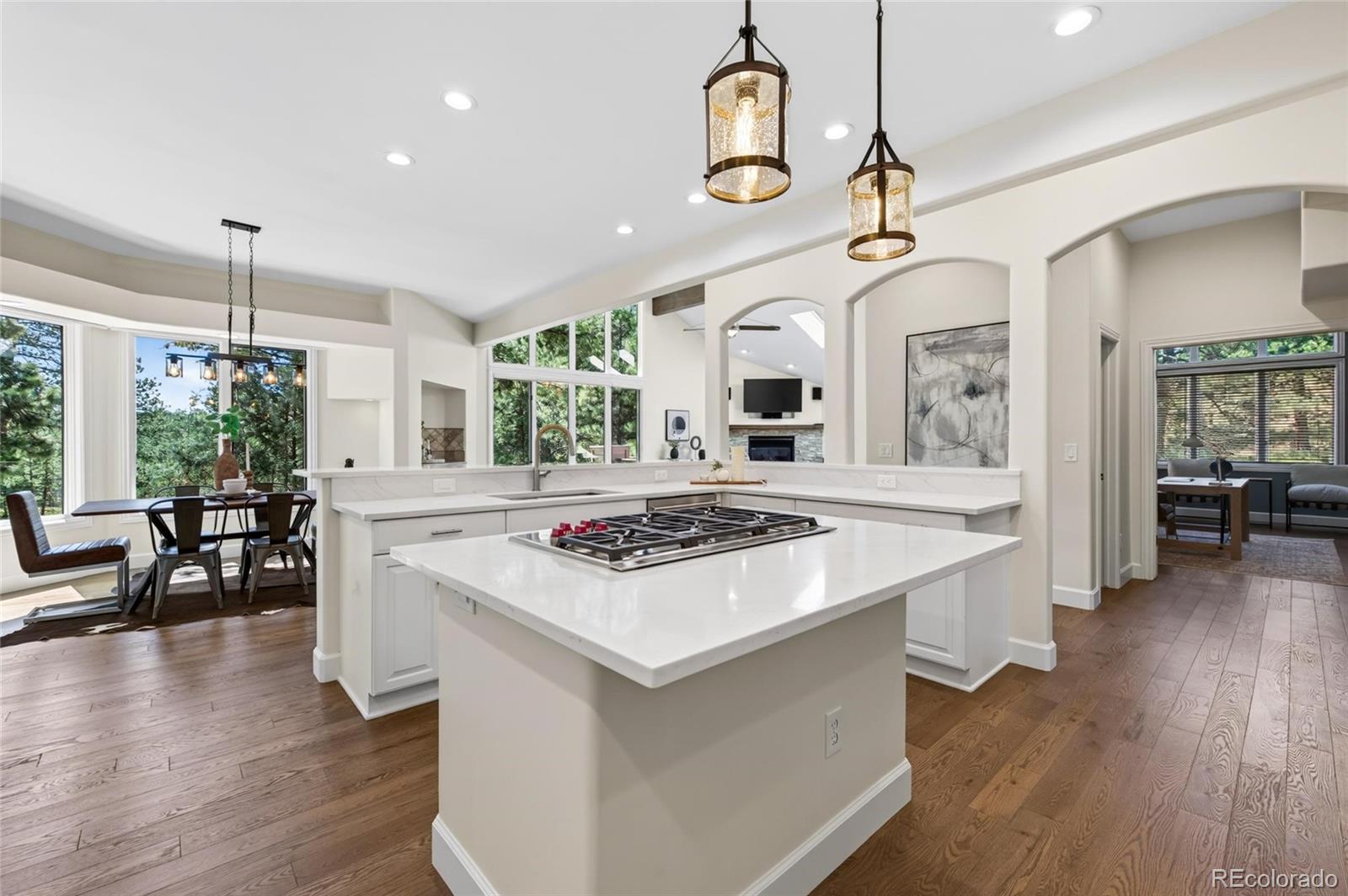 MLS Image #6 for 1580  blakcomb court,evergreen, Colorado