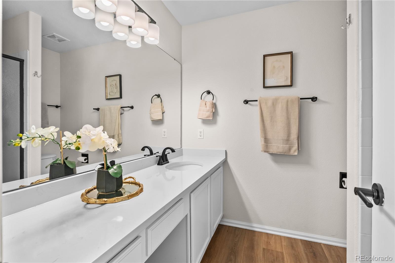MLS Image #11 for 4903  apollo bay drive,littleton, Colorado