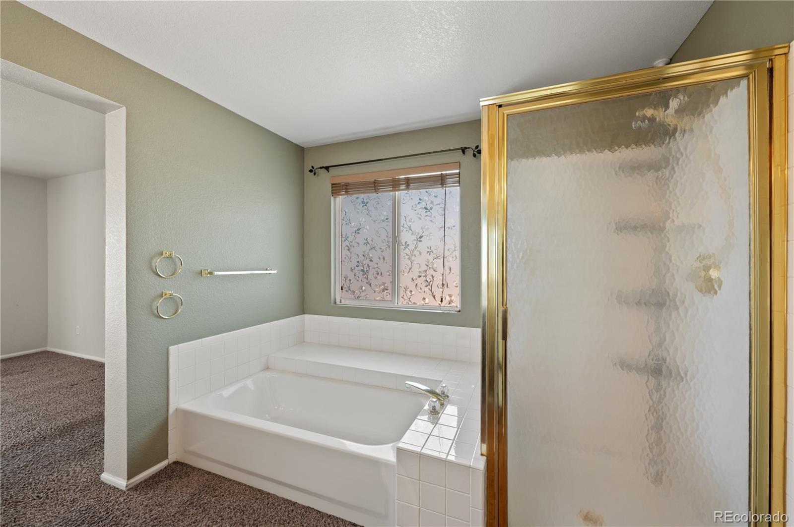 MLS Image #21 for 82  autumn court,erie, Colorado