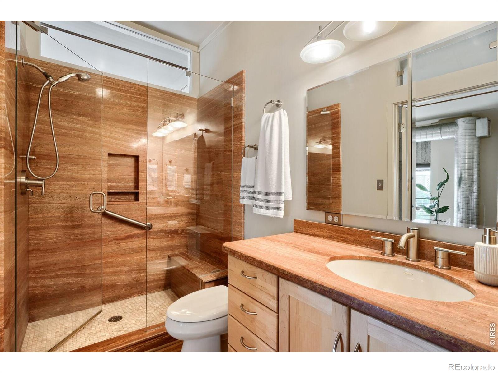 MLS Image #22 for 1050  cherokee street,denver, Colorado