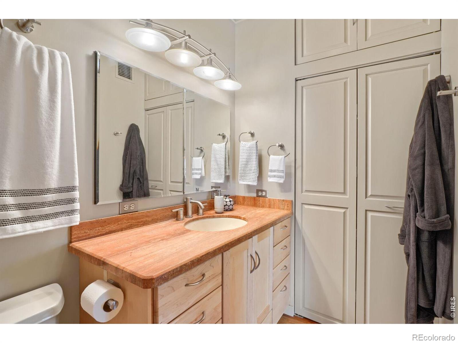 MLS Image #23 for 1050  cherokee street,denver, Colorado