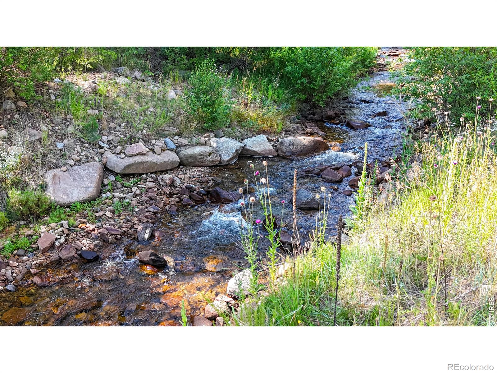 MLS Image #26 for 163  west creek road,glen haven, Colorado