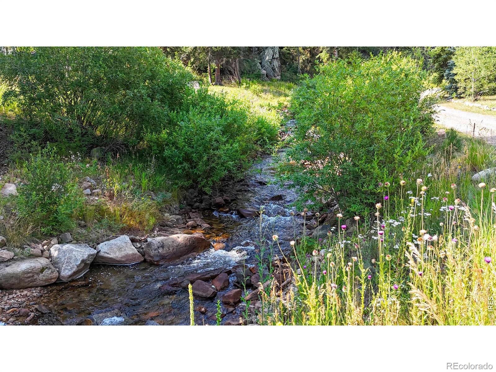 MLS Image #27 for 163  west creek road,glen haven, Colorado