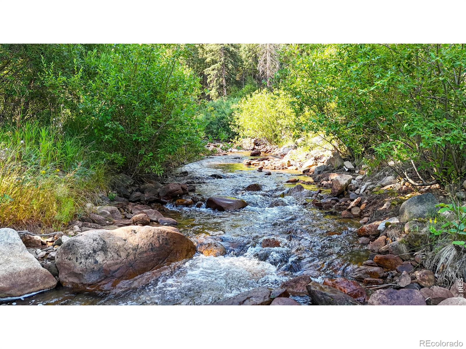 MLS Image #29 for 163  west creek road,glen haven, Colorado