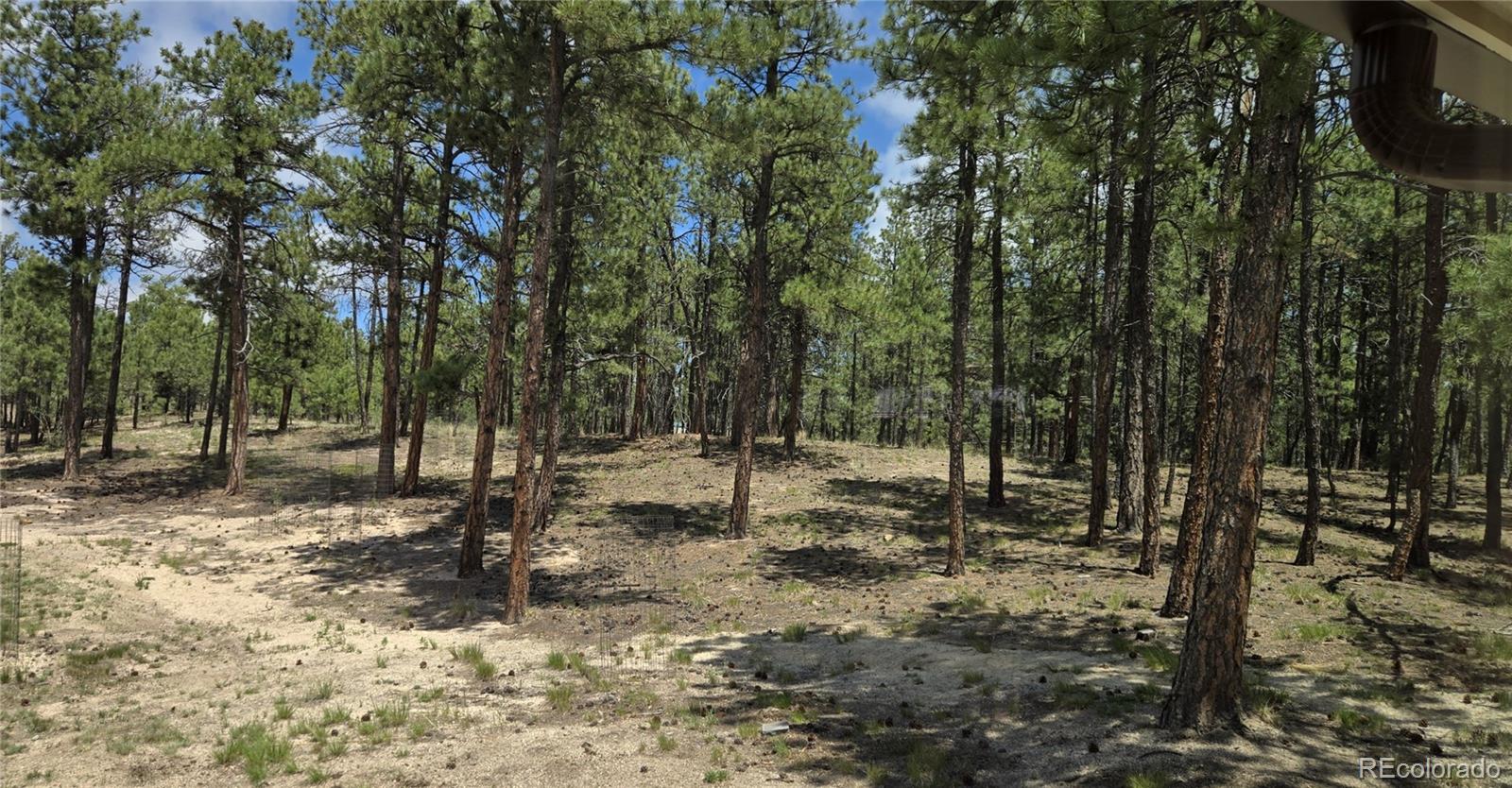 MLS Image #12 for 7220  mcshane road,colorado springs, Colorado