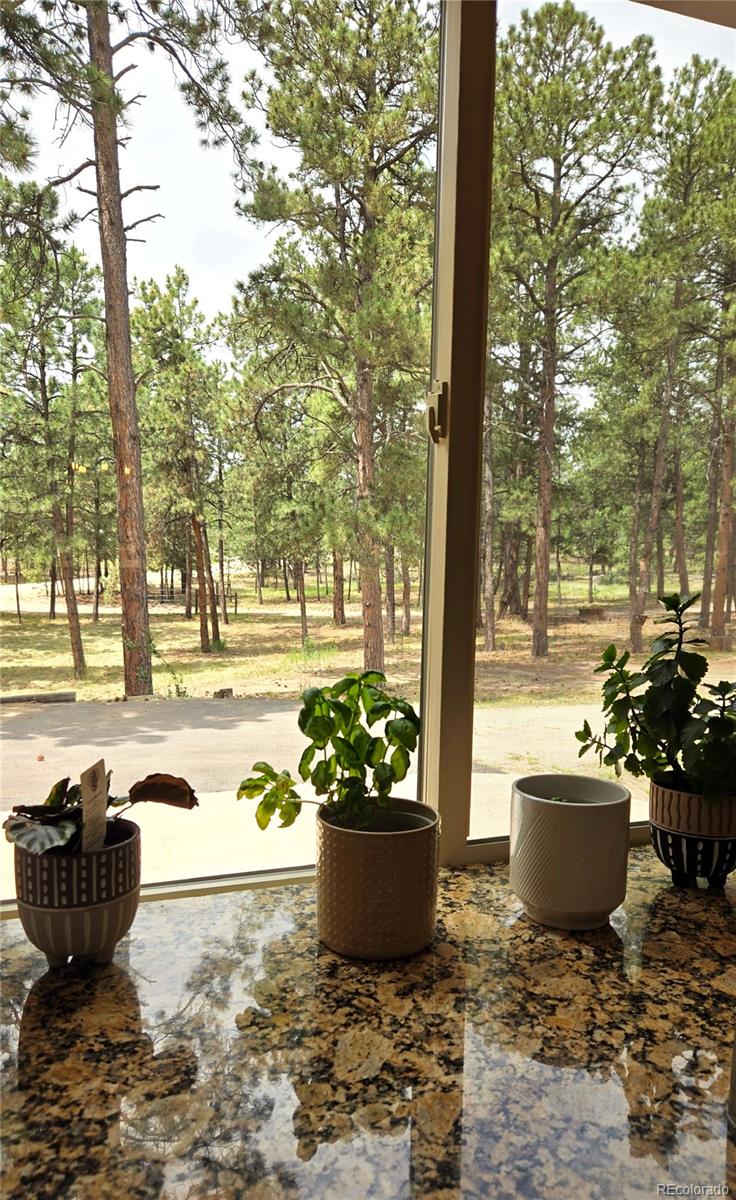 MLS Image #20 for 7220  mcshane road,colorado springs, Colorado
