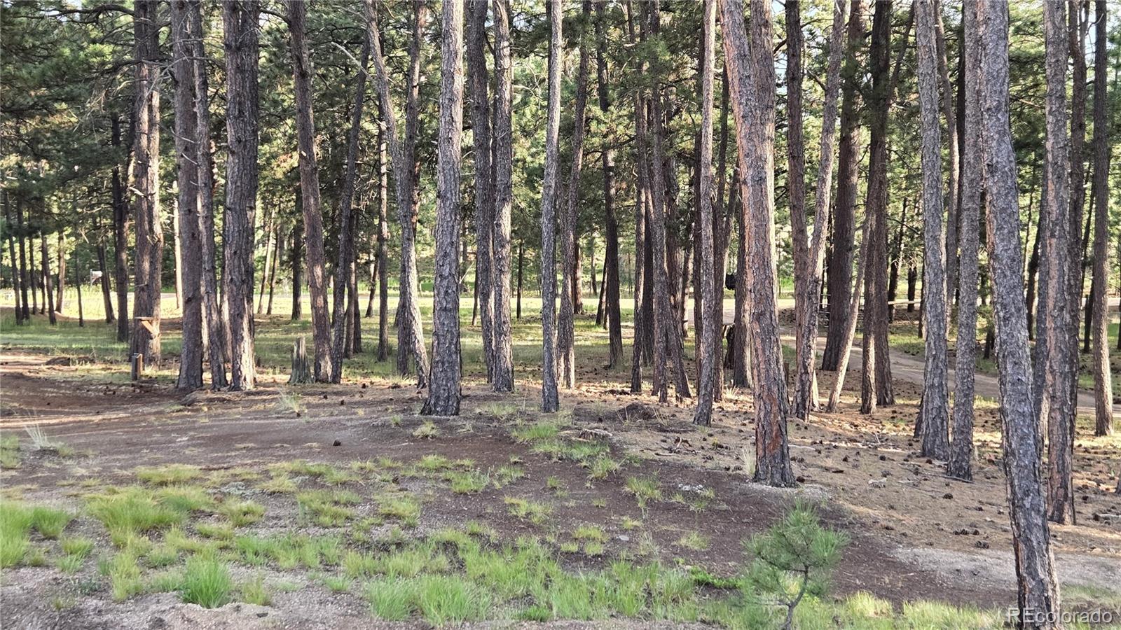 MLS Image #9 for 7220  mcshane road,colorado springs, Colorado