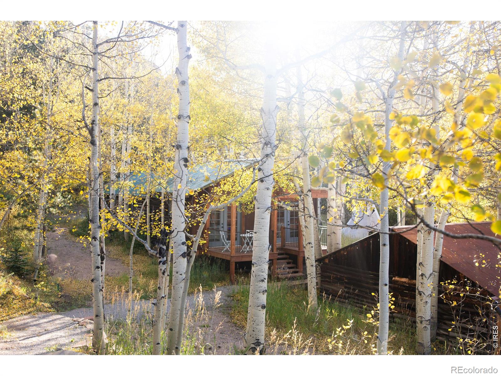 MLS Image #2 for 1087  highway 7 bus rte ,allenspark, Colorado