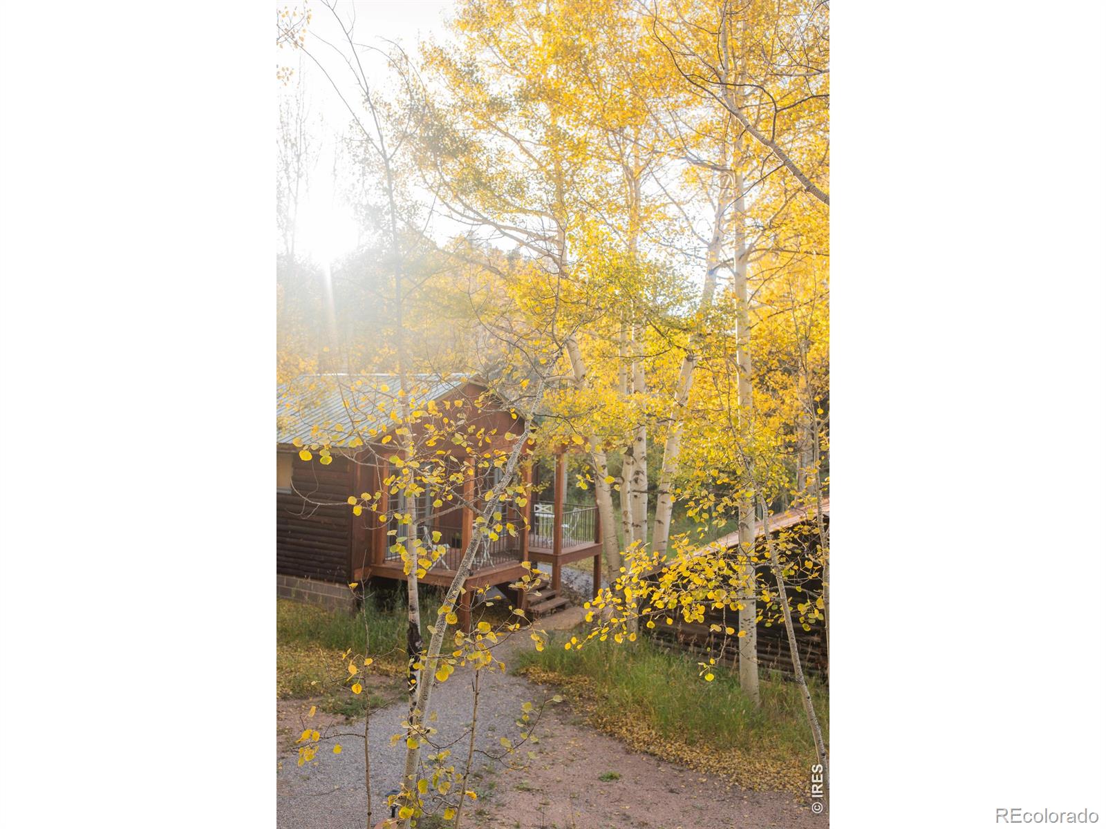 MLS Image #45 for 1087  highway 7 bus rte ,allenspark, Colorado