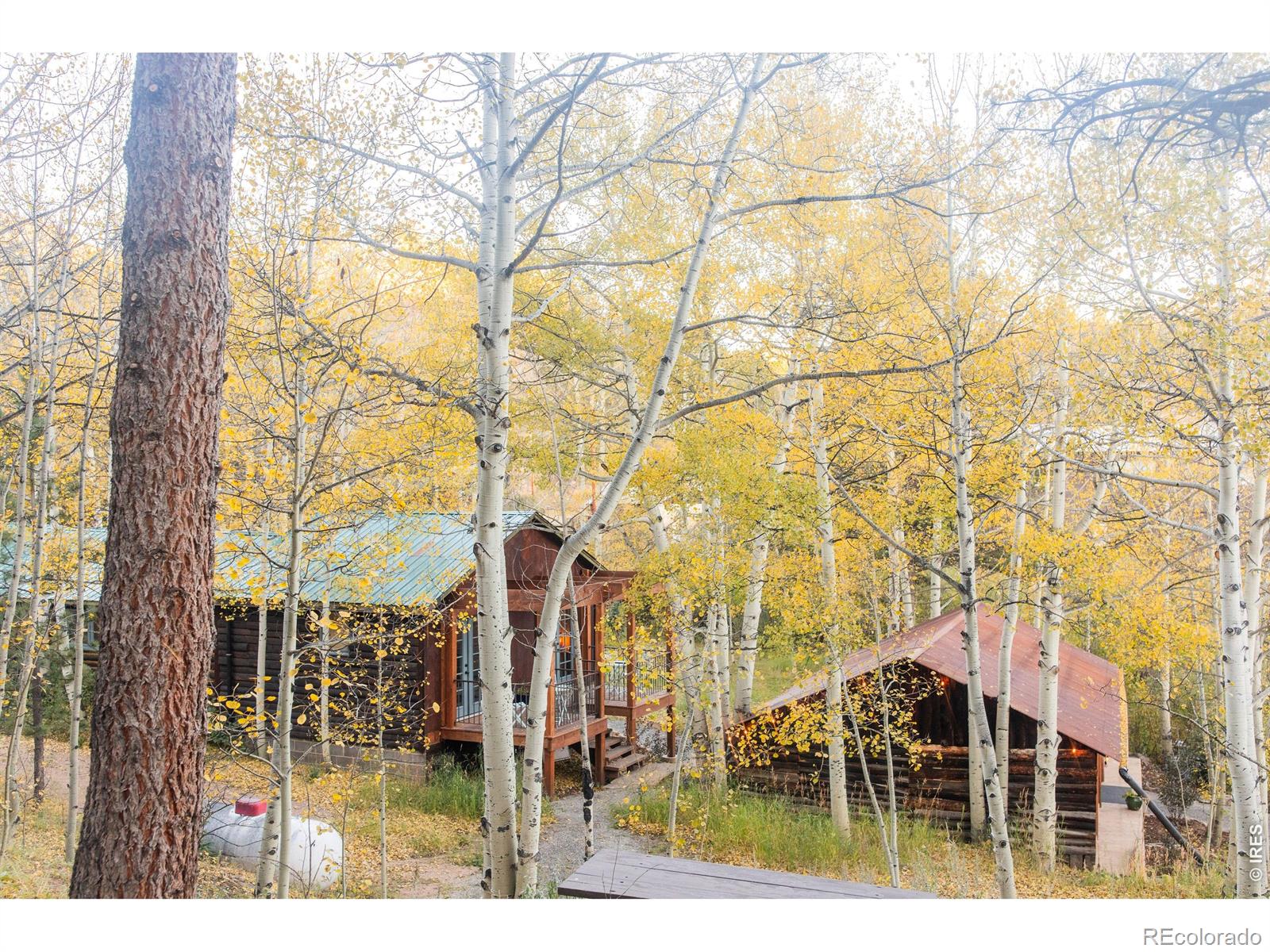 MLS Image #47 for 1087  highway 7 bus rte ,allenspark, Colorado