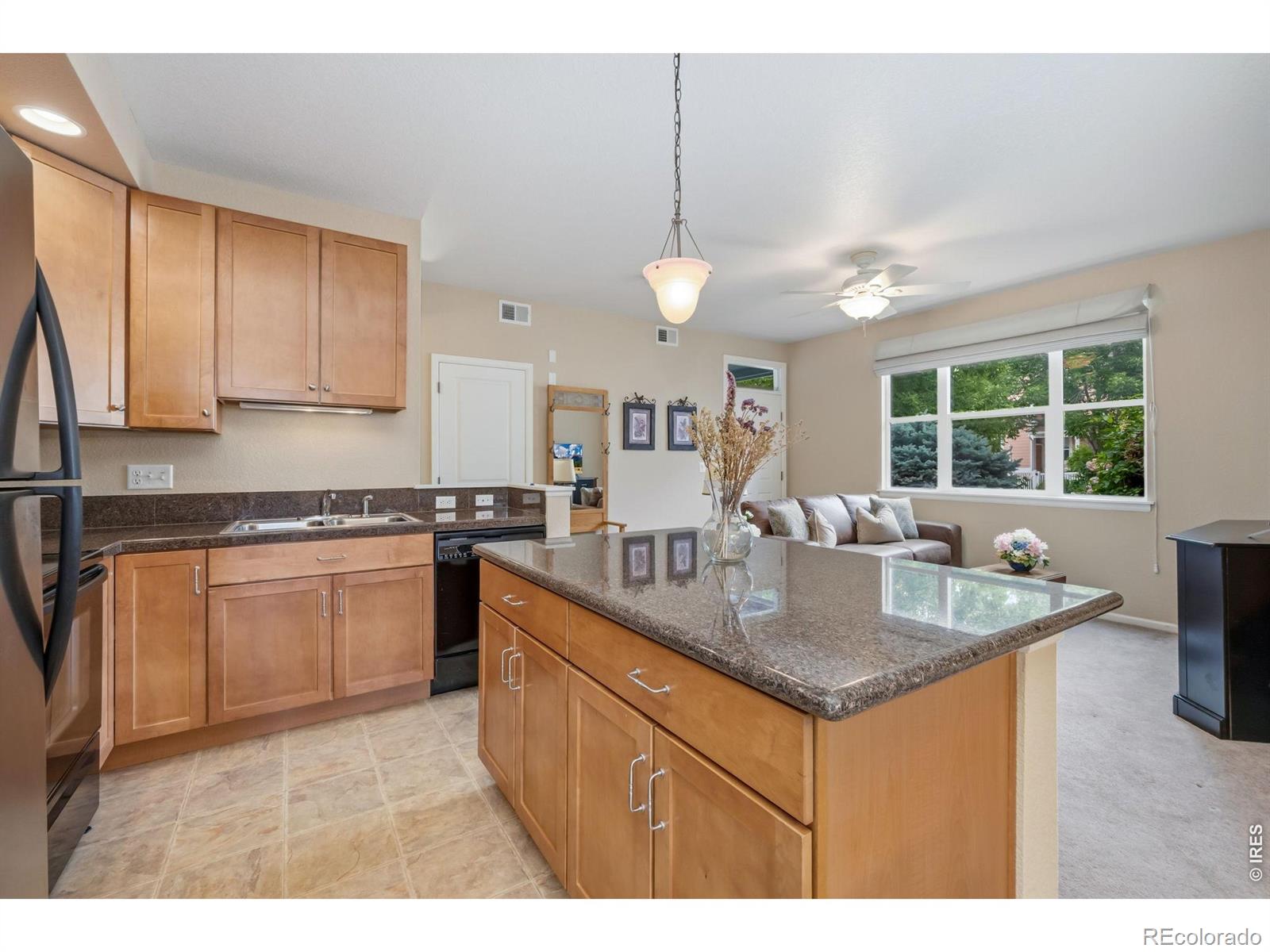 MLS Image #7 for 2107  grays peak drive,loveland, Colorado