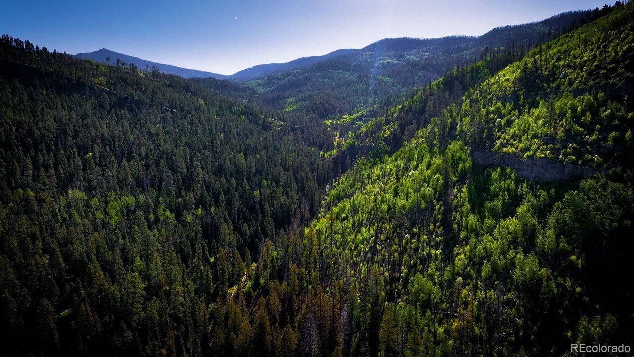MLS Image #37 for 23490  county road 501 ,bayfield, Colorado
