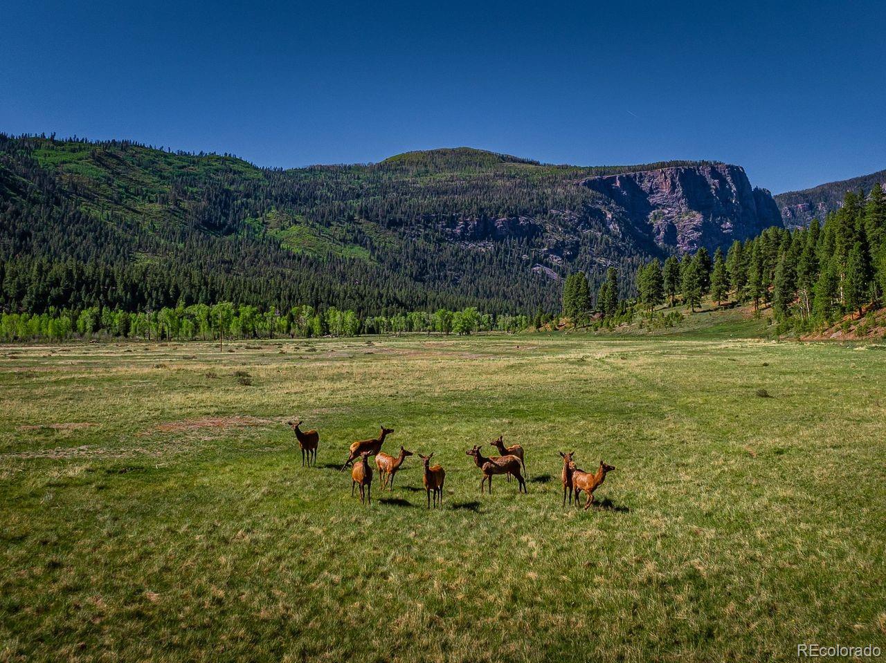 MLS Image #7 for 23490  county road 501 ,bayfield, Colorado