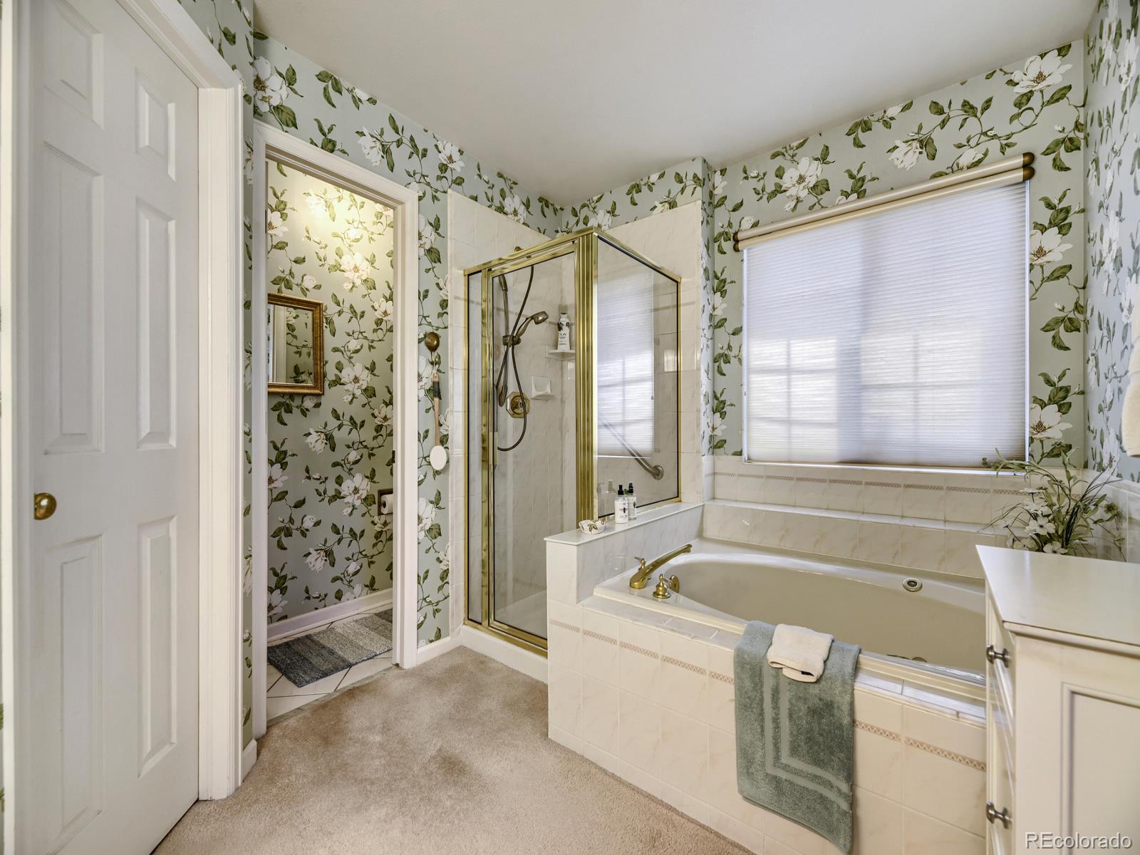 MLS Image #14 for 2177  weatherstone circle,littleton, Colorado
