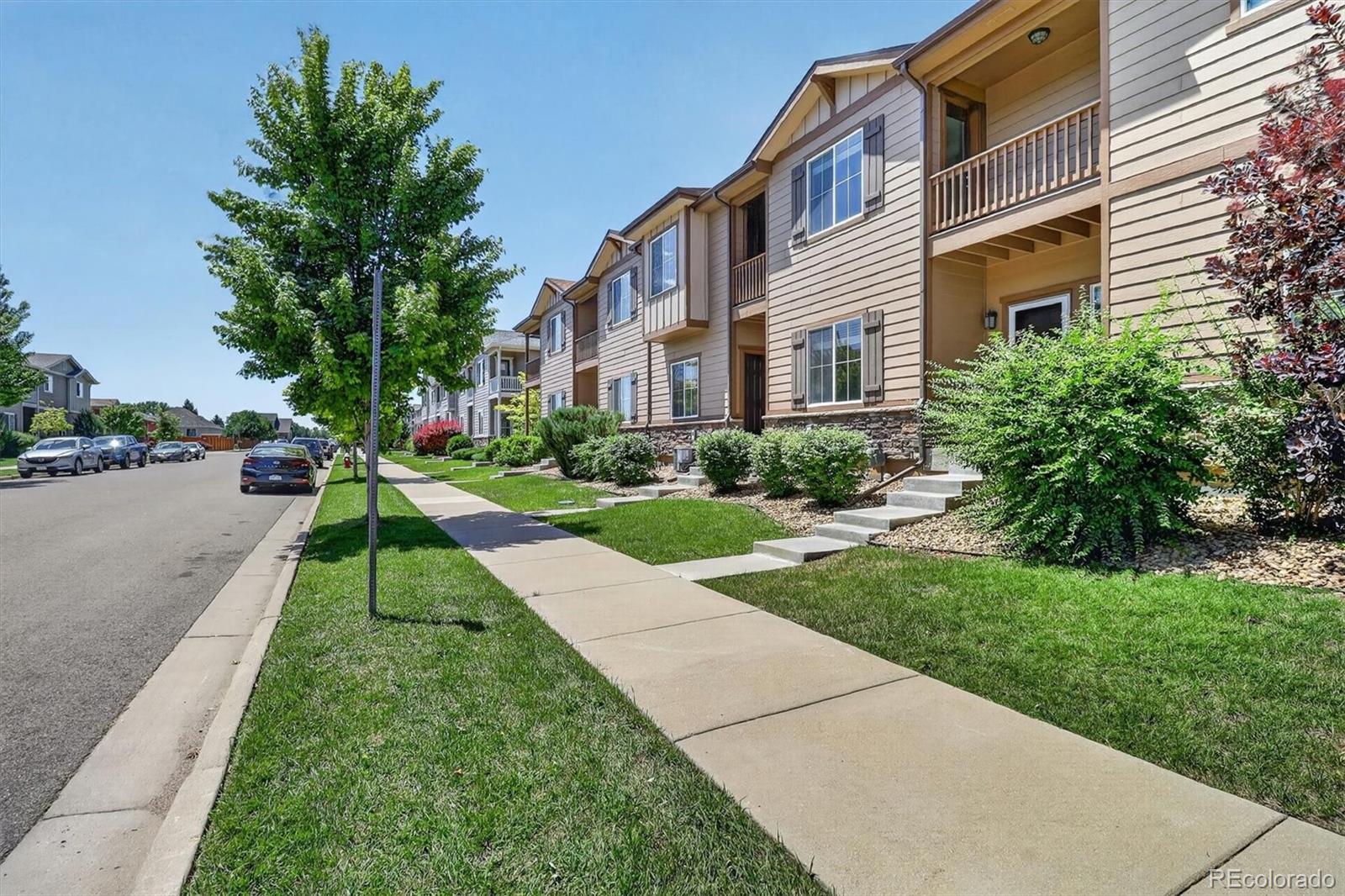 MLS Image #2 for 1209  bistre street,longmont, Colorado