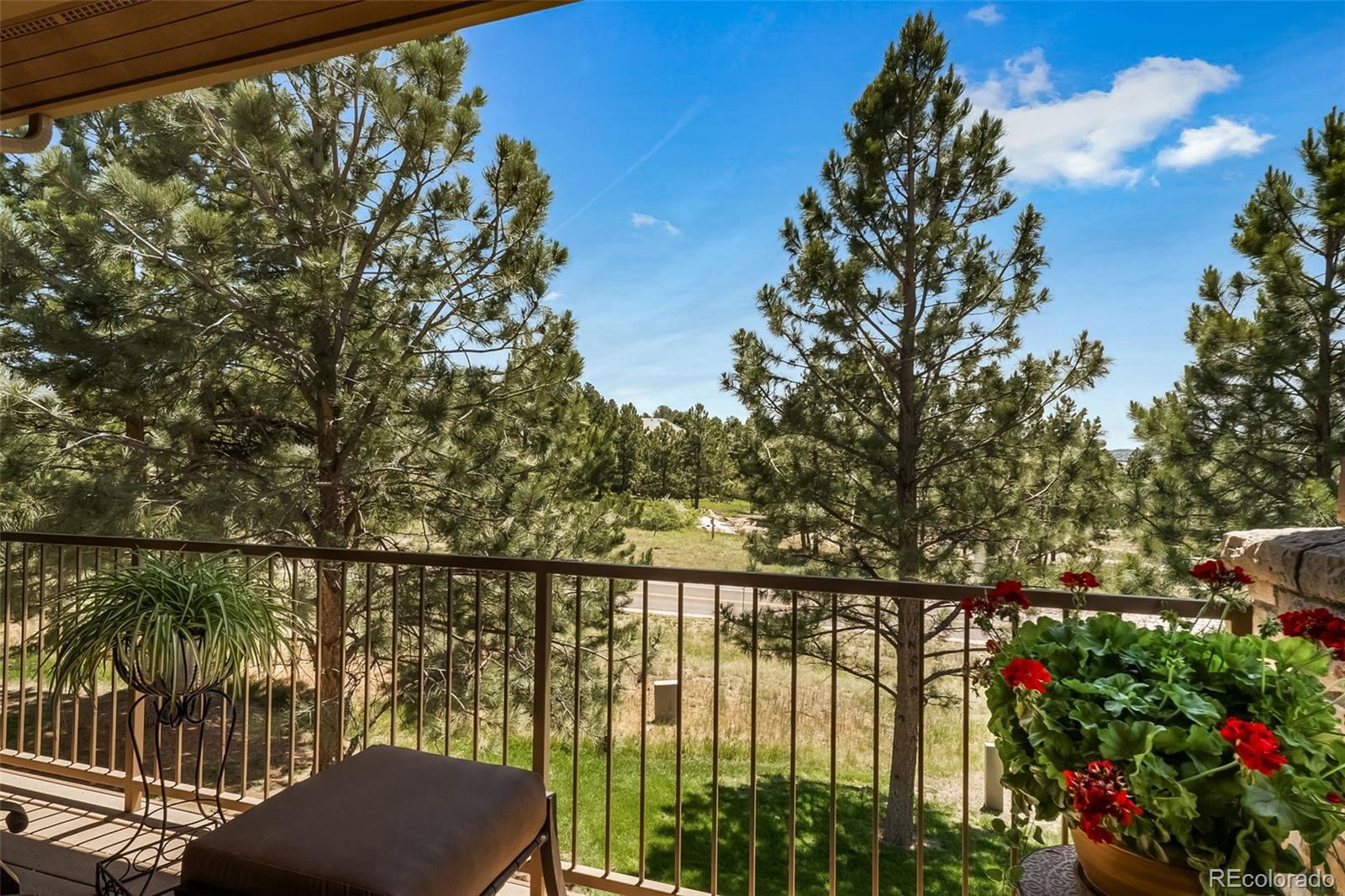 MLS Image #16 for 4316  chateau ridge road,castle rock, Colorado