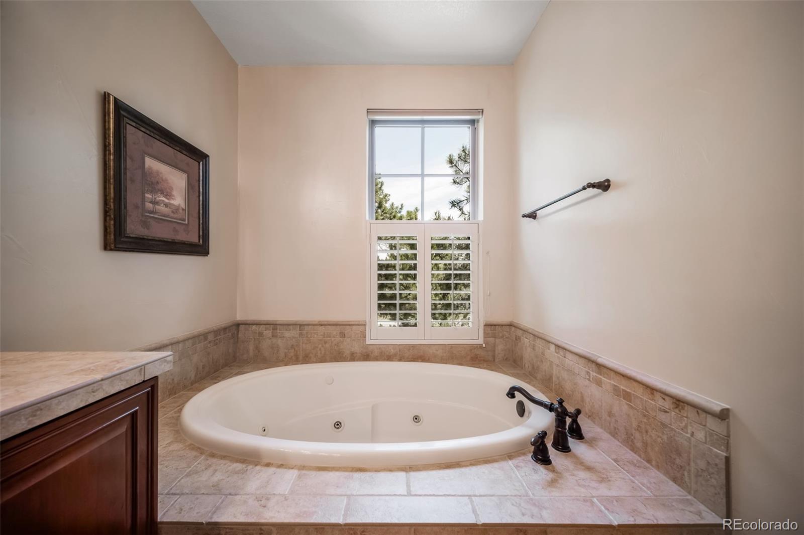 MLS Image #24 for 4316  chateau ridge road,castle rock, Colorado