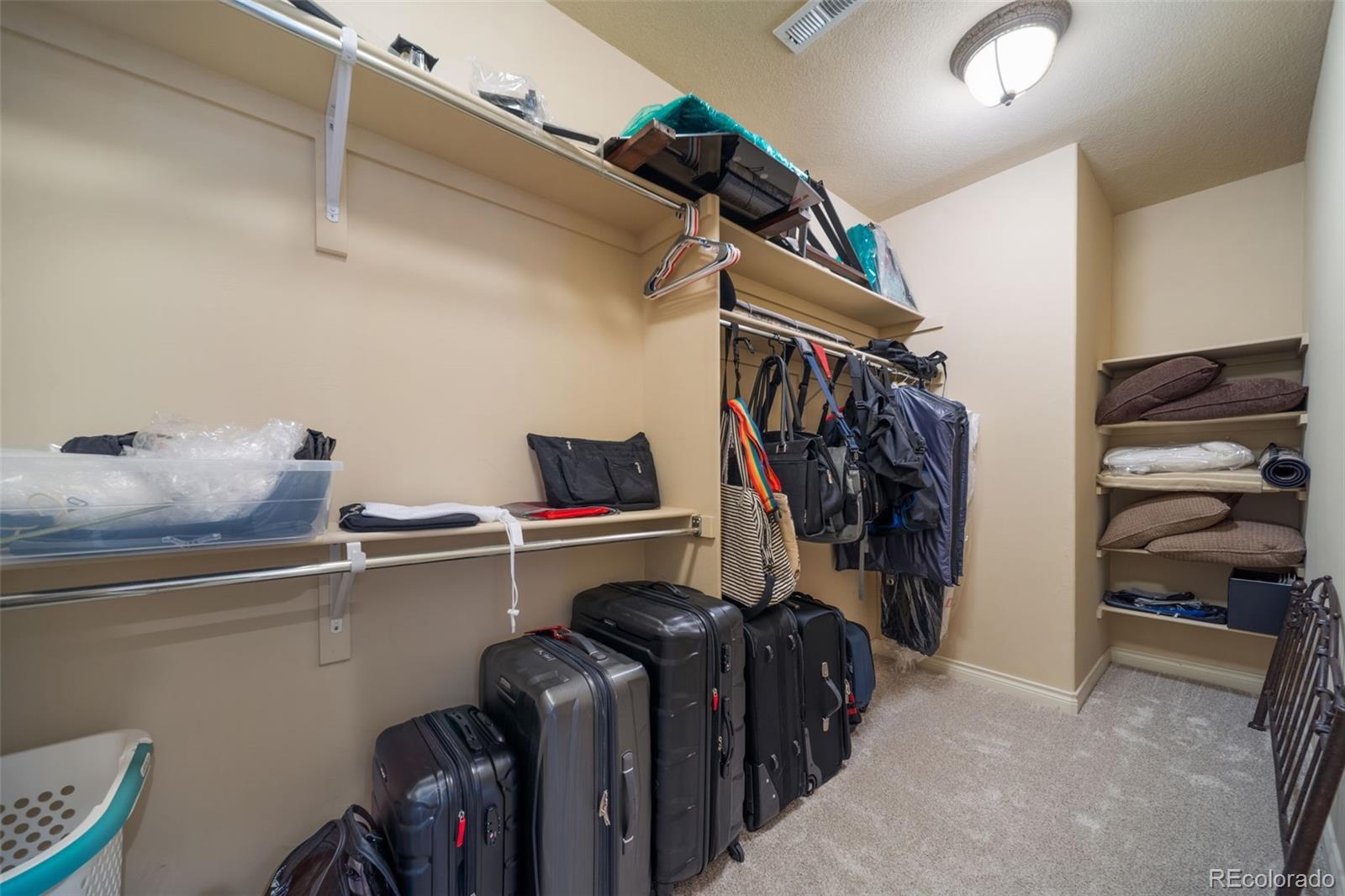 MLS Image #29 for 4316  chateau ridge road,castle rock, Colorado
