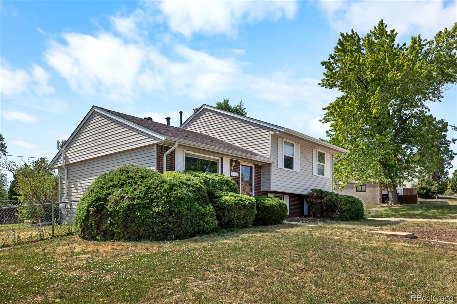 MLS Image #3 for 7752  saulsbury street,arvada, Colorado