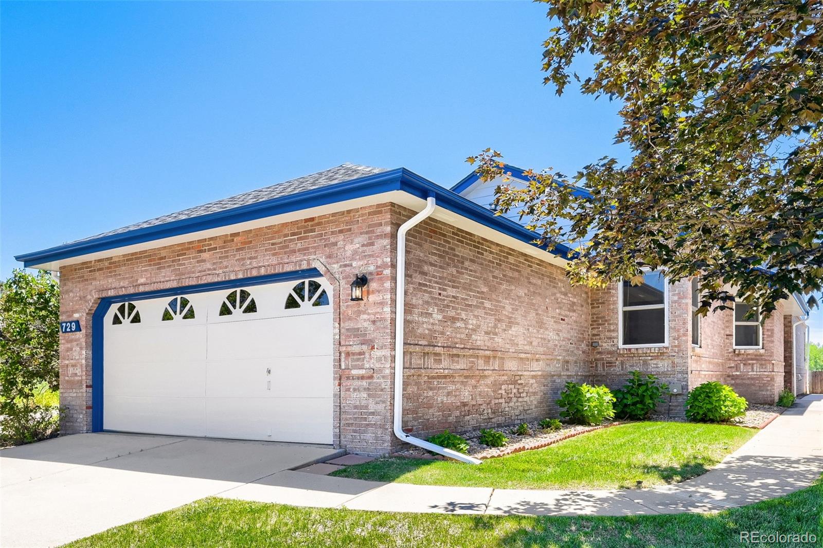 MLS Image #4 for 729  wade road,longmont, Colorado