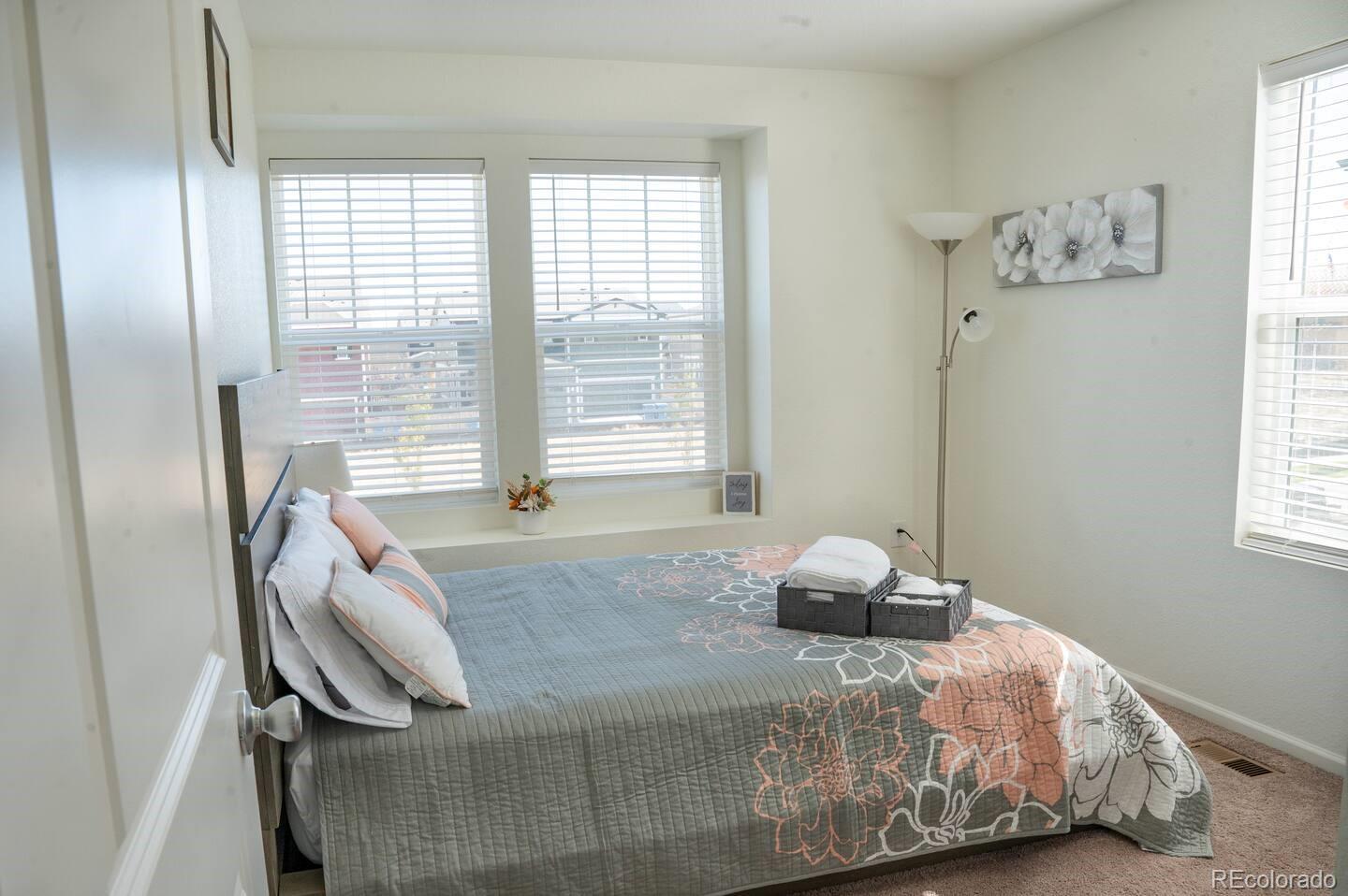 MLS Image #20 for 6253 n liverpool street,aurora, Colorado