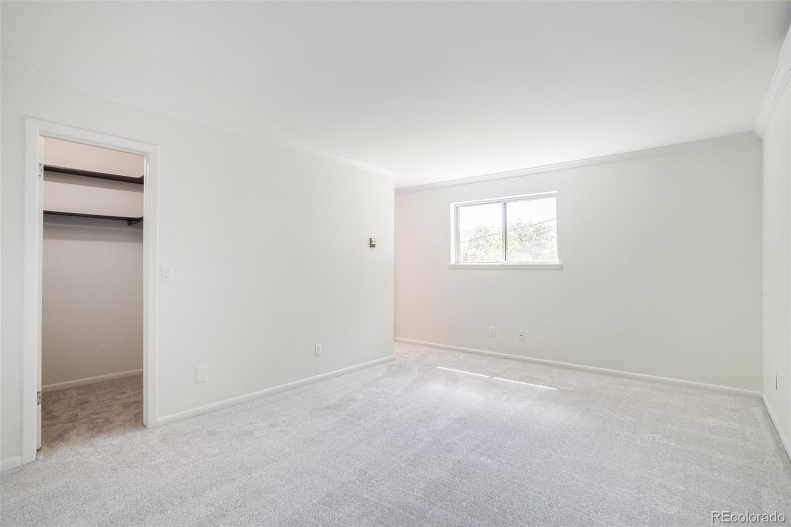 MLS Image #6 for 1613  secrest street,golden, Colorado