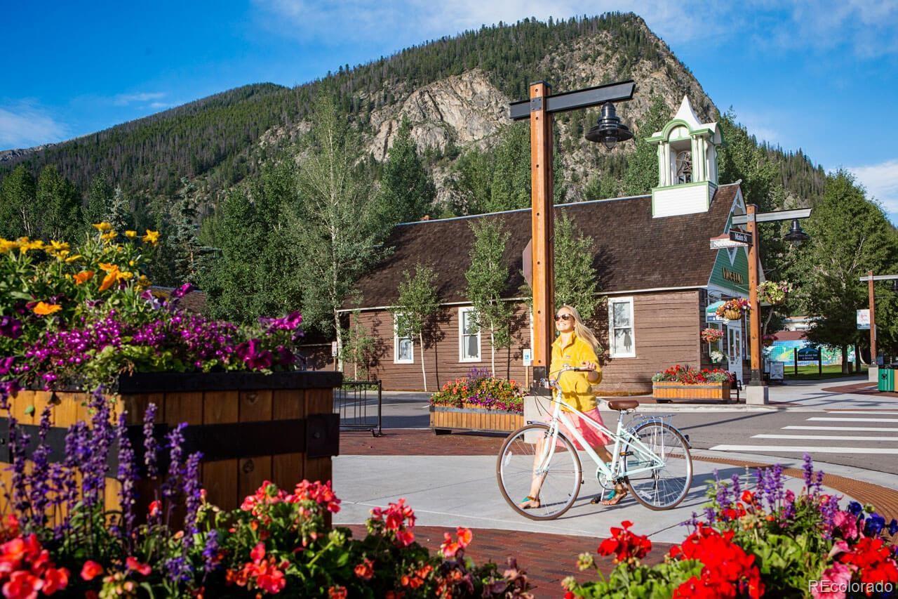 MLS Image #10 for 413  teller street,frisco, Colorado